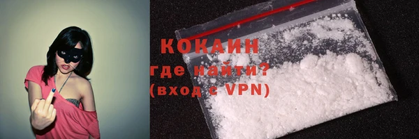 PSILOCYBIN Богородицк