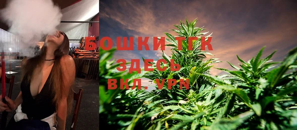 PSILOCYBIN Богородицк