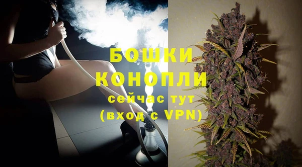PSILOCYBIN Богородицк