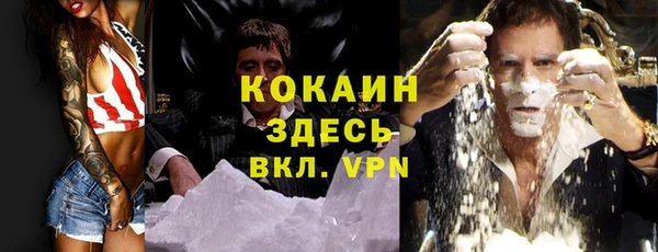 PSILOCYBIN Богородицк