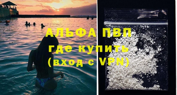 PSILOCYBIN Богородицк