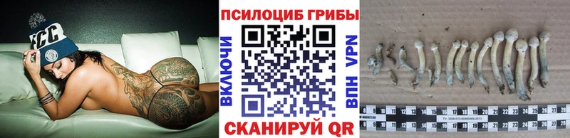 Галлюциногенные грибы MAGIC MUSHROOMS продажа наркотиков Петропавловск-Камчатский